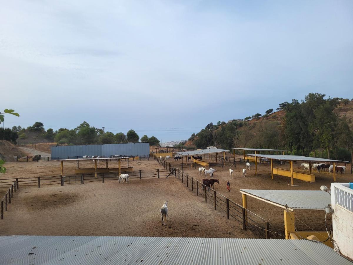Finca Palmers Mijas Ngoại thất bức ảnh